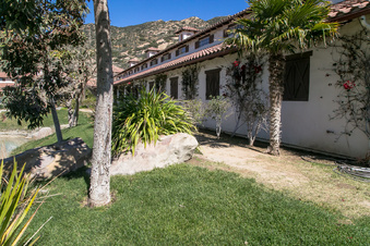 Enlarge photo 254