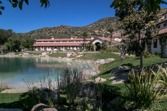 Enlarge photo 255