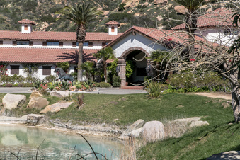 Enlarge photo 256