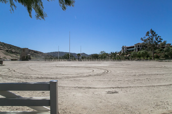 Enlarge photo 258