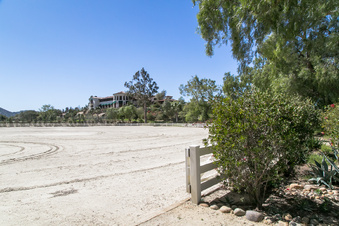 Enlarge photo 259