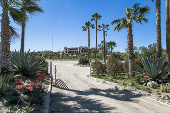 Enlarge photo 263