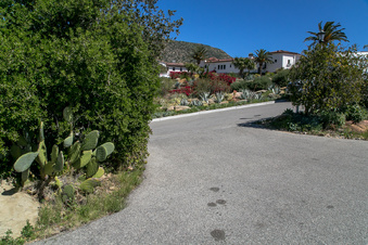Enlarge photo 266