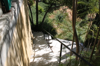 Enlarge photo 165