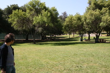 Enlarge photo 28