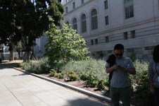 Enlarge photo 44