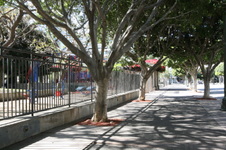 Enlarge photo 10