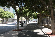Grand Hope Park