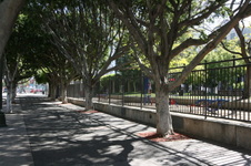 Enlarge photo 17