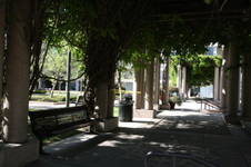 Enlarge photo 24