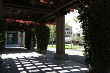 Enlarge photo 26