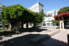 Enlarge photo 27