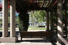 Enlarge photo 35