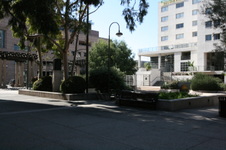 Enlarge photo 41