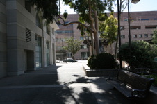 Enlarge photo 43