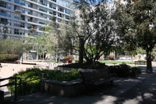 Enlarge photo 46