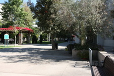 Enlarge photo 50