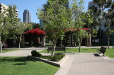 Enlarge photo 54