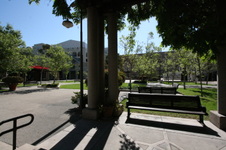 Enlarge photo 61