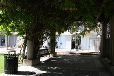 Enlarge photo 62