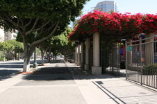 Enlarge photo 71