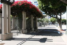Enlarge photo 73