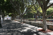 Enlarge photo 74