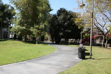 Enlarge photo 77