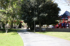 Enlarge photo 79