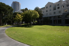 Enlarge photo 82