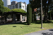 Enlarge photo 83