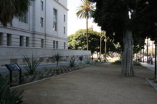 Enlarge photo 30