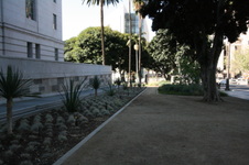 Enlarge photo 32