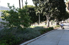 Enlarge photo 34