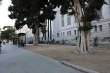 Enlarge photo 35
