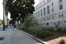 Enlarge photo 37