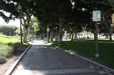 Enlarge photo 41