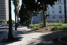 Enlarge photo 42