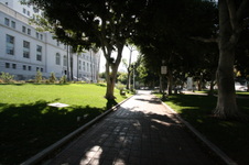 Enlarge photo 46