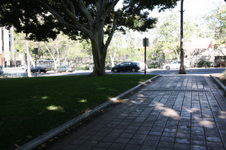 Enlarge photo 47