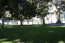 Enlarge photo 48