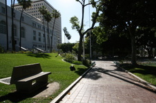 Enlarge photo 49