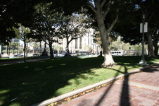 Enlarge photo 51