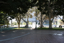 Enlarge photo 54