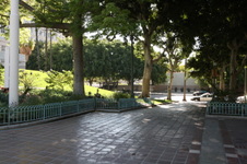 LA City Hall Park