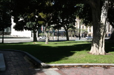 Enlarge photo 59