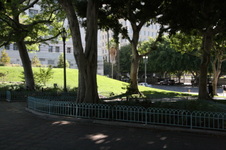 Enlarge photo 61