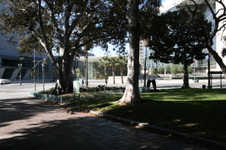Enlarge photo 62