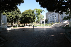 Enlarge photo 63