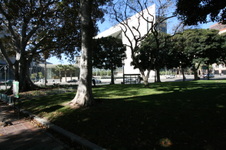 Enlarge photo 64